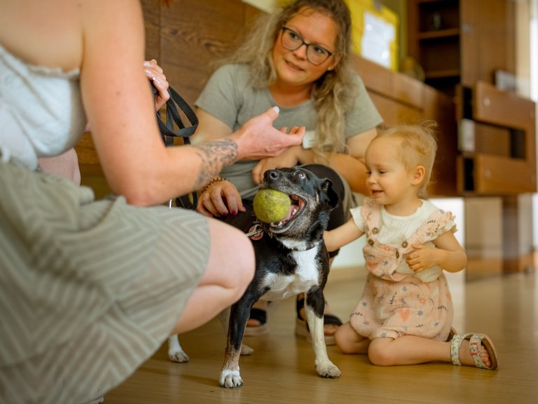 Ein kleiner schwarz-weißer Hund hält einen Tennisball im Maul. Ein Kleinkind sitzt auf dem Boden und streichelt den Hund, während zwei Frauen im Hintergrund freundlich zuschauen.