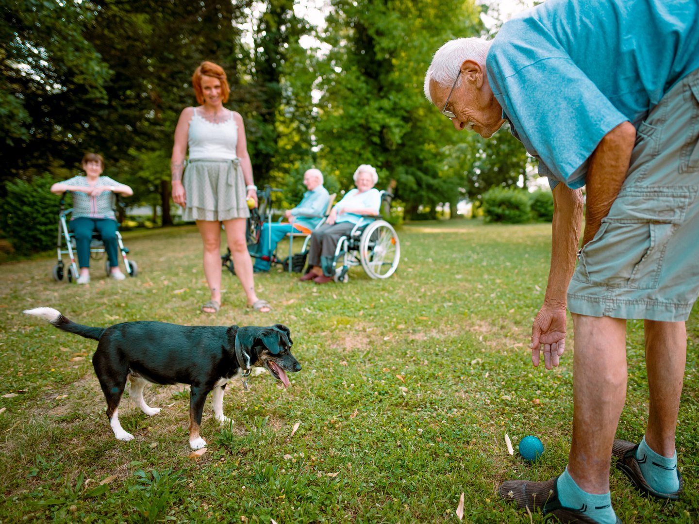 Ein älterer Mann beugt sich auf einer Wiese hinunter, um mit einem schwarz-weißen Hund einen blauen Ball zu spielen. Im Hintergrund beobachten eine Frau und mehrere Senioren, teilweise in Rollstühlen, die Interaktion im Freien.